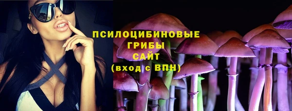 PSILOCYBIN Кукмор