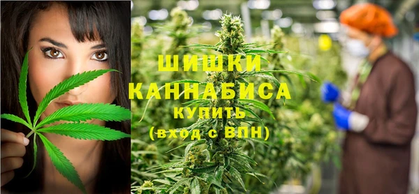 PSILOCYBIN Кукмор
