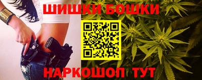spice Гатчина