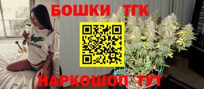 spice Гатчина