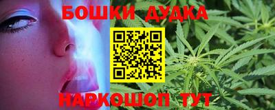 spice Гатчина