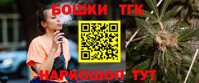 spice Гатчина