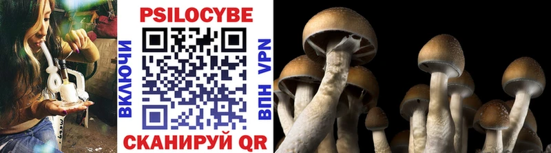 Псилоцибиновые грибы MAGIC MUSHROOMS  кракен рабочий сайт  площадка состав  Надым 
