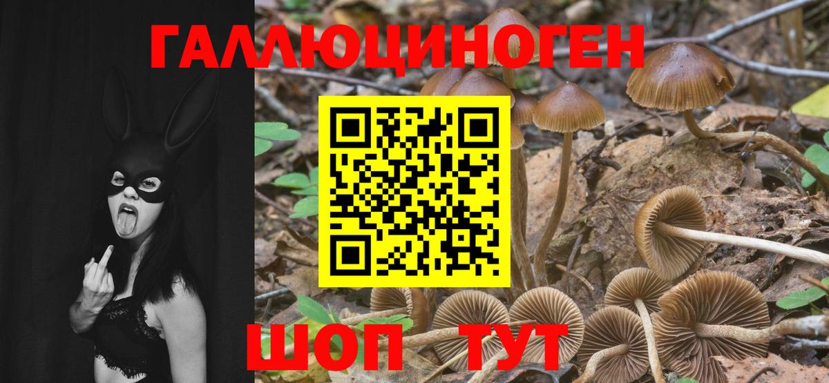 Надым  Галлюциногенные грибы Magic Shrooms  Вход с VPN  Галлюциногенные грибы MAGIC MUSHROOMS 