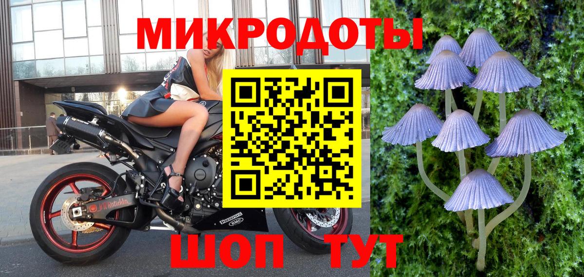 Псилоцибиновые грибы ЛСД Надым