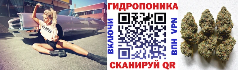 Канабис MAZAR  закладки  Надым 